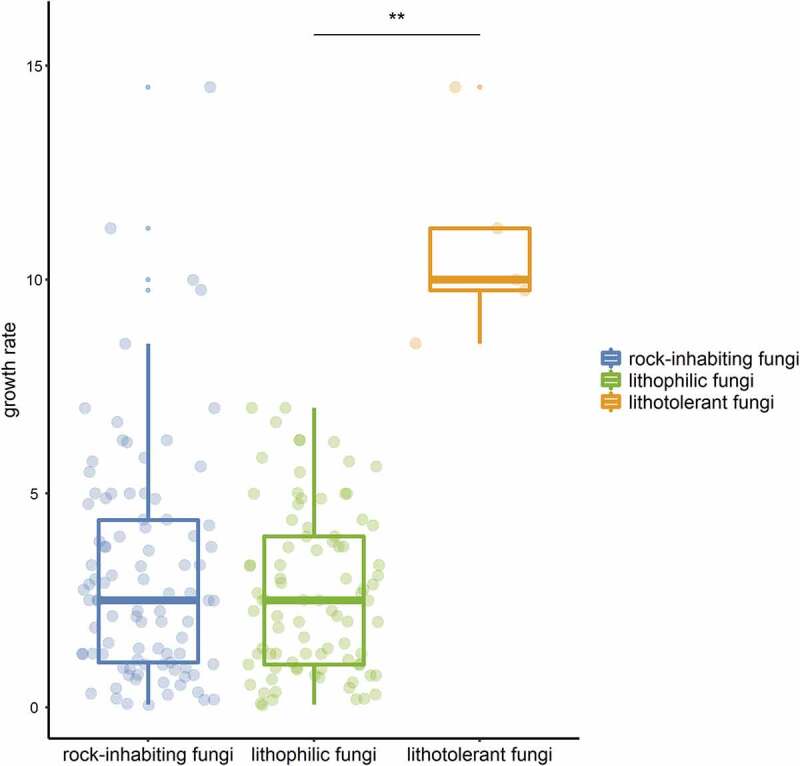 Rock-inhabiting fungi: terminology, diversity, evolution and adaptation mechanisms.