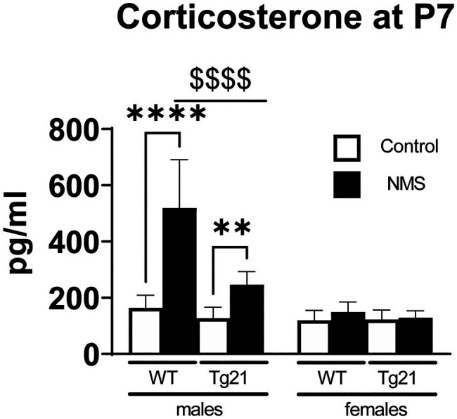 Cerebral Erythropoietin Prevents Sex-Dependent Disruption of Respiratory Control Induced by Early Life Stress.
