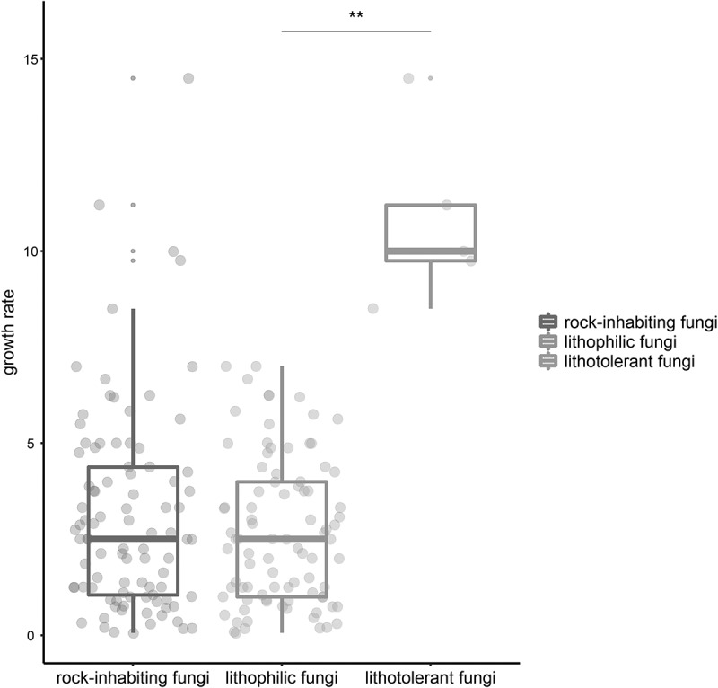 Rock-inhabiting fungi: terminology, diversity, evolution and adaptation mechanisms.