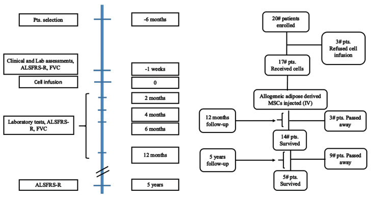 Safety and Efficacy of Allogeneic Adipose Tissue Mesenchymal Stromal Cells in Amyotrophic Lateral Sclerosis Patients, Single-Center, Prospective, Open-Label, Single-Arm Clinical Trial, Long-Term Follow-up.