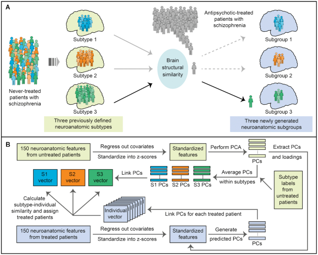 Distinct neuroanatomic subtypes in antipsychotic-treated patients with schizophrenia classified by the predefined classification in a never-treated sample.