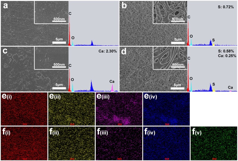 Hydroxyapatite composited PEEK with 3D porous surface enhances osteoblast differentiation through mediating NO by macrophage.