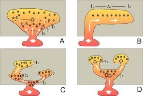 Earthquakes generated by fluid overpressure: Insights from cryptoexplosive breccias