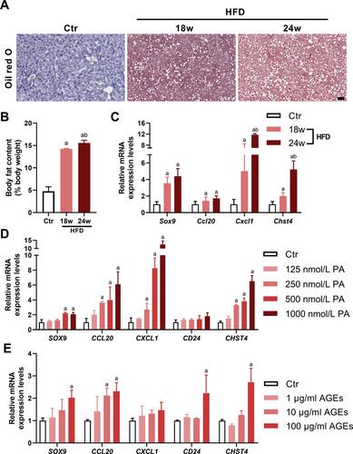 Identification of key genes and pathways in mild and severe nonalcoholic fatty liver disease by integrative analysis