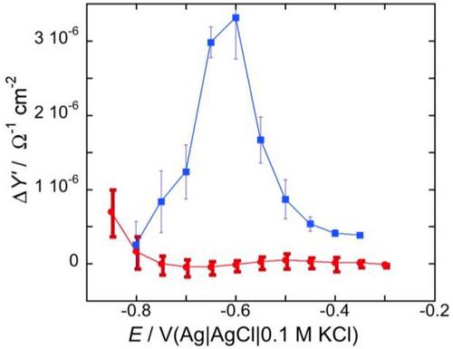 Functional activity of peptide ion channels in tethered bilayer lipid membranes: Review