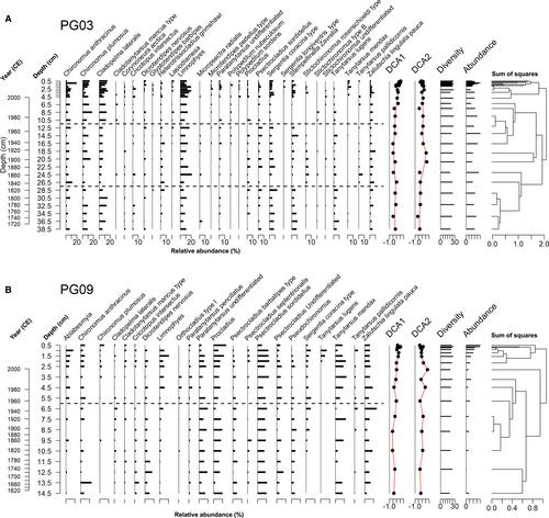 Identifying the influence of terrestrial–aquatic connectivity on palaeoecological inferences of past climate in Arctic lakes