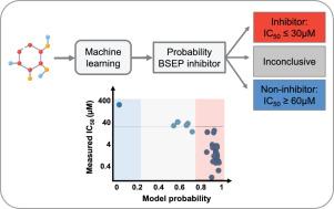 Identification of bile salt export pump inhibitors using machine learning: Predictive safety from an industry perspective