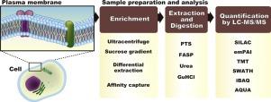 Advances in sample preparation for membrane proteome quantification