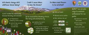 Climate change impacts on natural icons: Do phenological shifts threaten the relationship between peak wildflowers and visitor satisfaction?