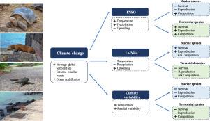 The effects of climate change on wildlife biodiversity of the galapagos islands