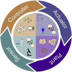 Control engineering meets synthetic biology: Foundations and applications