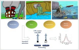 Molecularly imprinted polymer-carbon paste electrode (MIP-CPE)-based sensors for the sensitive detection of organic and inorganic environmental pollutants: A review