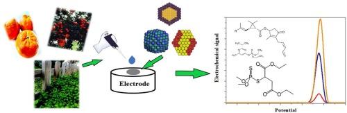 Electroanalytical methods based on bimetallic nanomaterials for determination of pesticides: Past, present, and future