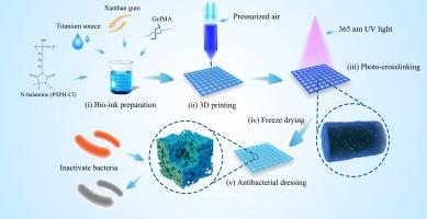 Multifunctional 3D printed porous GelMA/xanthan gum based dressing with biofilm control and wound healing activity