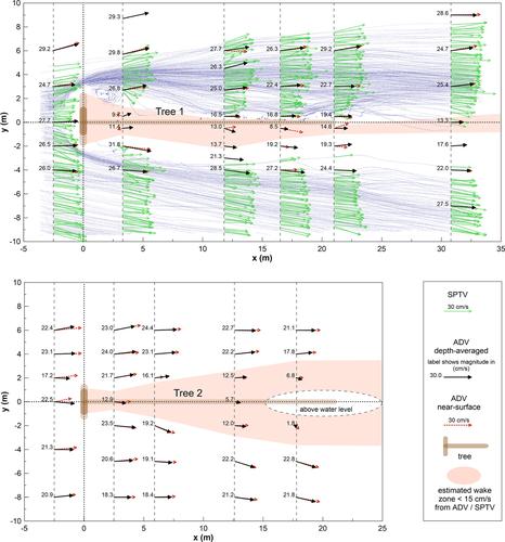 Wake flow patterns and turbulence around naturally deposited and installed trees in a gravel bed river