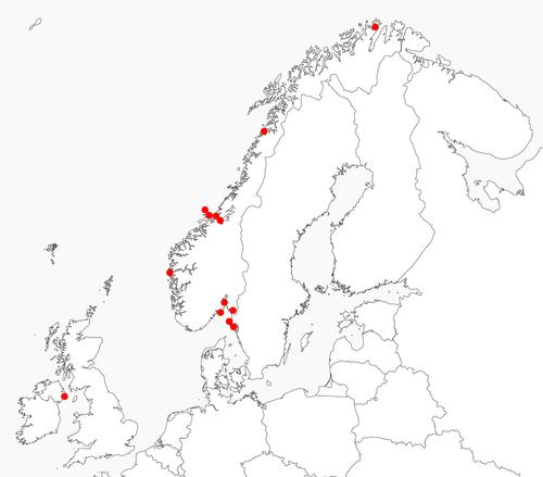 Species delimitation and phylogeny of Doto (Nudibranchia: Dotidae) from the Northeast Atlantic, with a discussion on food specialization