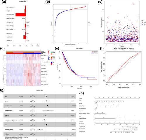 RYR2 mutation in non-small cell lung cancer prolongs survival via down-regulation of DKK1 and up-regulation of GS1-115G20.1: A weighted gene Co-expression network analysis and risk prognostic models