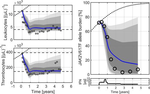 Dose-dependent mathematical modeling of interferon-
         α-treatment for personalized treatment of myeloproliferative neoplasms