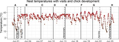 Miniature temperature data loggers increase precision and reduce bias when estimating the daily survival rate for bird nests