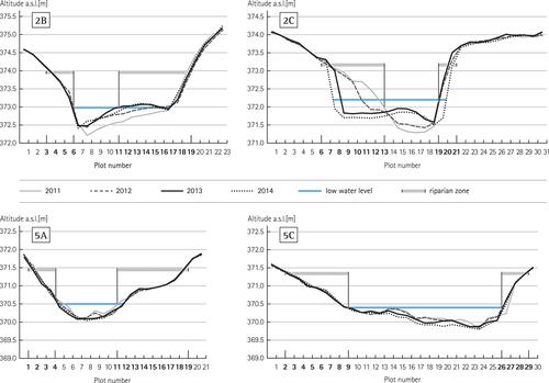 Are natural floods accelerators for streambank vegetation development in floodplain restoration?