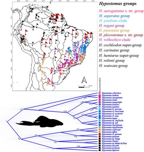 A taxonomically complex catfish group from an underrepresented geographic area: Systematics and species limits in Hypostomus Lacépède, 1803 (Siluriformes, Loricariidae) from Eastern South America