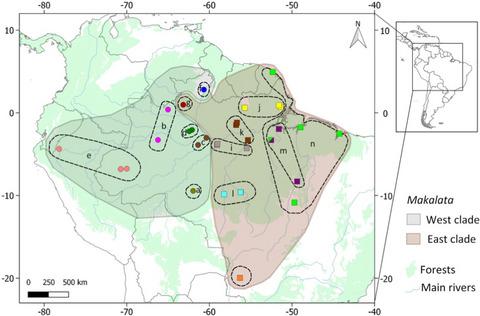 A molecular and chromosomic meta-analysis approach and its implications for the taxonomy of the genus Makalata Husson, 1978 (Rodentia, Echimyidae) including an amended diagnosis for M. macrura (Wagner, 1842)