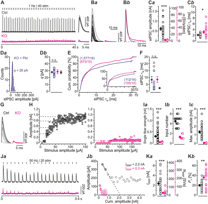 Glycinergic Transmission in the Presence and Absence of Functional GlyT2: Lessons From the Auditory Brainstem.