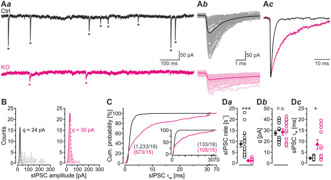 Glycinergic Transmission in the Presence and Absence of Functional GlyT2: Lessons From the Auditory Brainstem.