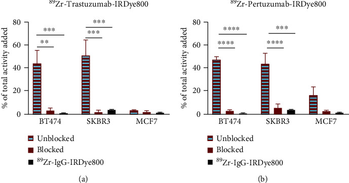 Comparison of HER2-Targeted Antibodies for Fluorescence-Guided Surgery in Breast Cancer.