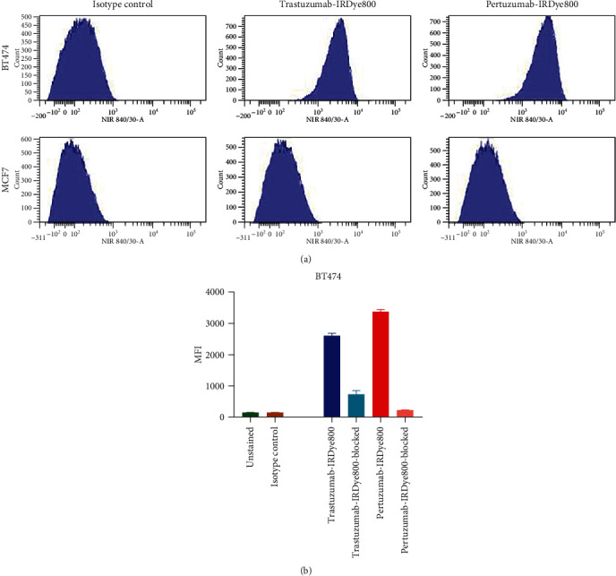 Comparison of HER2-Targeted Antibodies for Fluorescence-Guided Surgery in Breast Cancer.