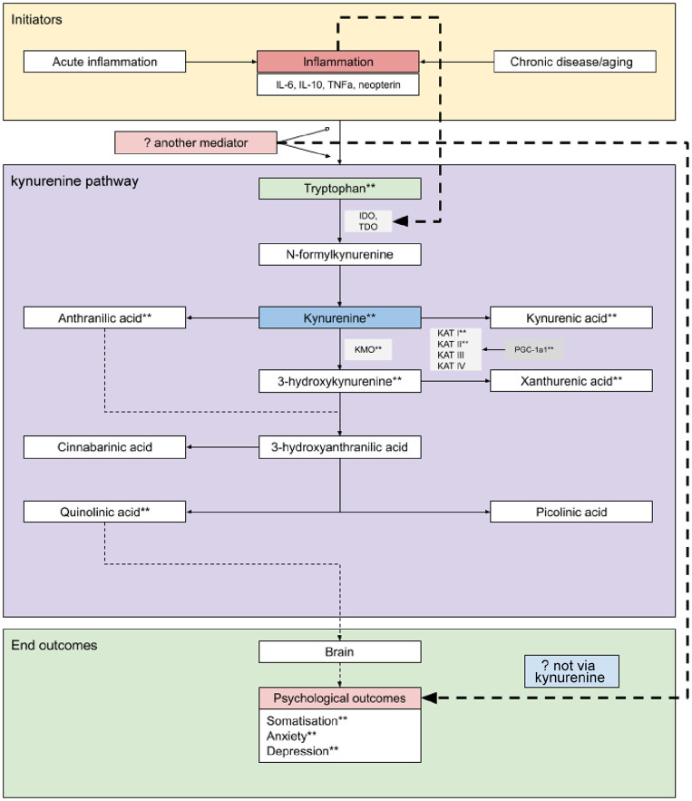 Does Exercise Influence Kynurenine/Tryptophan Metabolism and Psychological Outcomes in Persons With Age-Related Diseases? A Systematic Review.