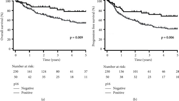 Does HPV Subtype Predict Outcomes in Head and Neck Cancers?