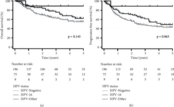 Does HPV Subtype Predict Outcomes in Head and Neck Cancers?