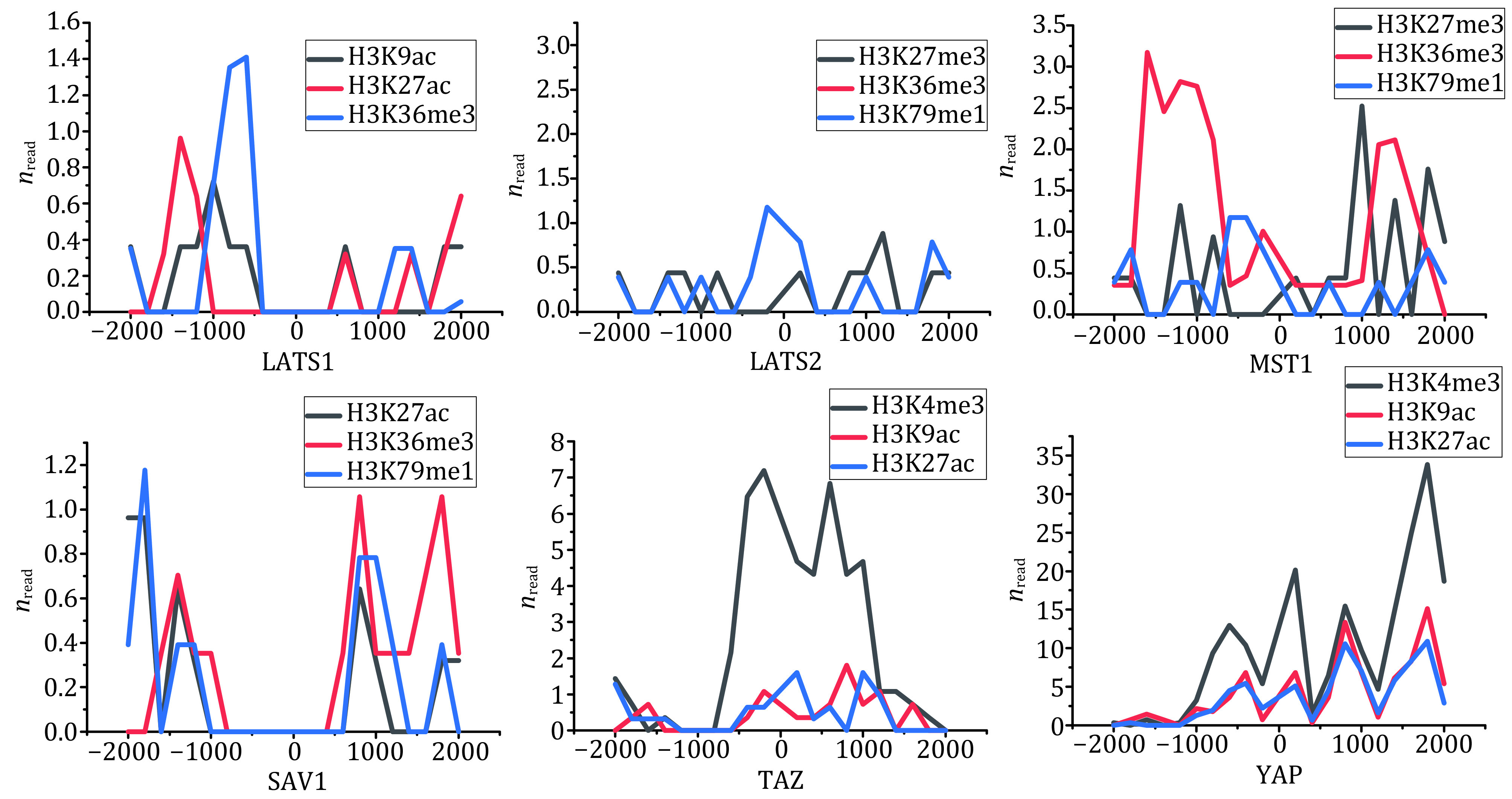 Study on the spatial distribution patterns of histone modifications in Hippo pathway genes.