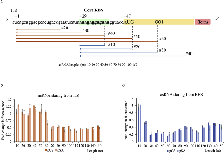 Development of antisense RNA-mediated quantifiable inhibition for metabolic regulation