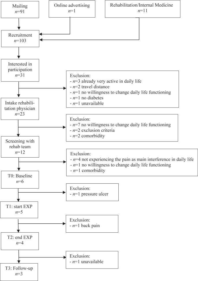 Effectiveness of Exposure in Vivo for Patients with Painful Diabetic Neuropathy: a Pilot Study of Effects on Physical Activity and Quality of Life.