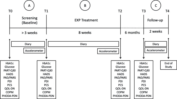 Effectiveness of Exposure in Vivo for Patients with Painful Diabetic Neuropathy: a Pilot Study of Effects on Physical Activity and Quality of Life.