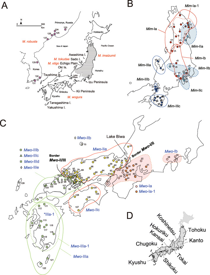 Influence of Quaternary environmental changes on mole populations inferred from mitochondrial sequences and evolutionary rate estimation.