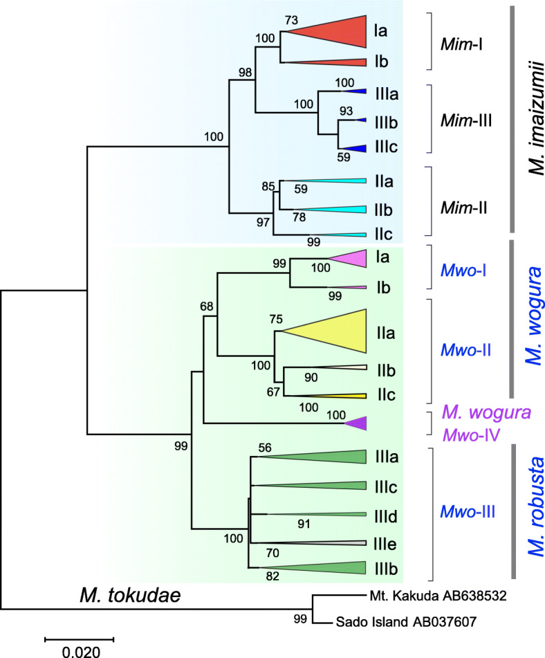 Influence of Quaternary environmental changes on mole populations inferred from mitochondrial sequences and evolutionary rate estimation.