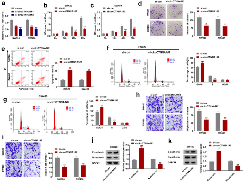 CircCTNNA1 acts as a ceRNA for miR-363-3p to facilitate the progression of colorectal cancer by promoting CXCL5 expression.