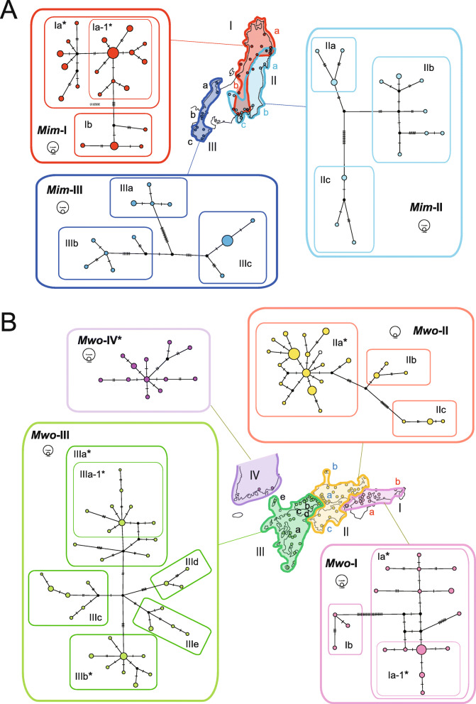 Influence of Quaternary environmental changes on mole populations inferred from mitochondrial sequences and evolutionary rate estimation.