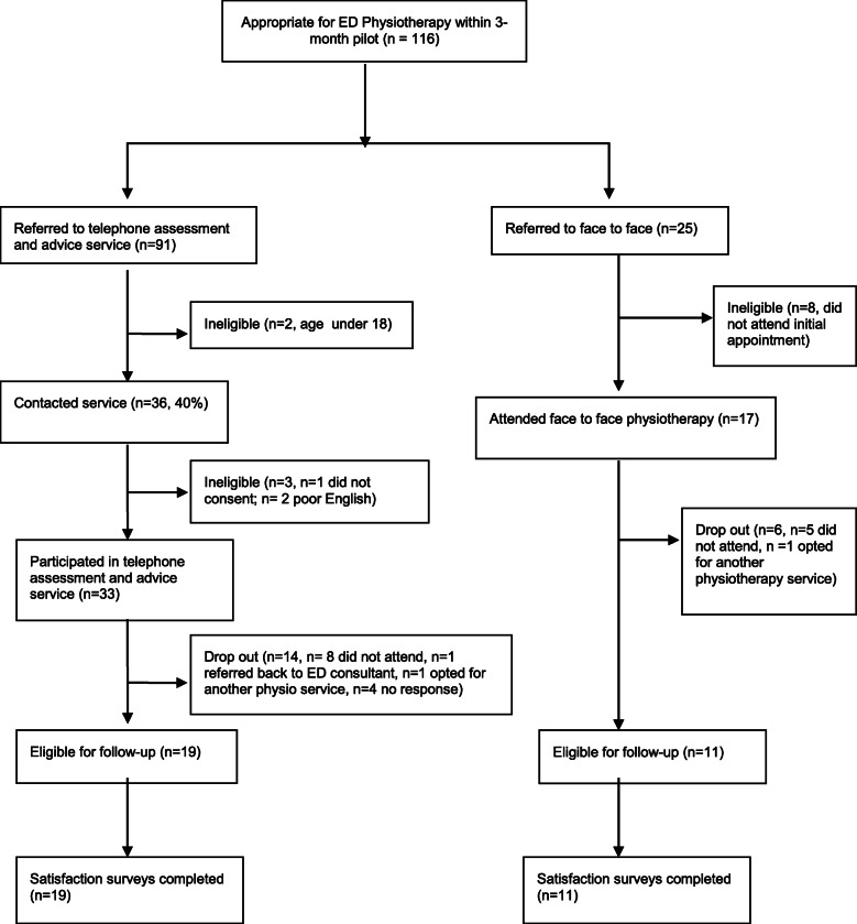 A telephone assessment and advice service within an ED physiotherapy clinic: a single-site quality improvement cohort study.