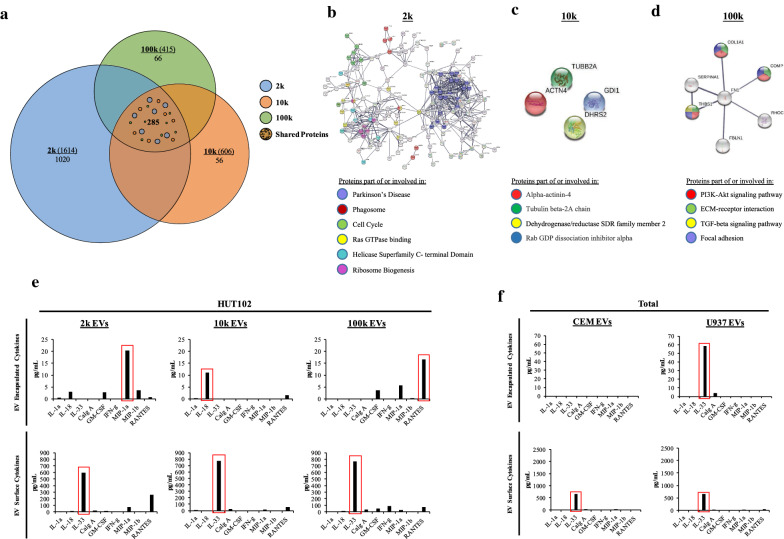 Extracellular vesicles from HTLV-1 infected cells modulate target cells and viral spread.