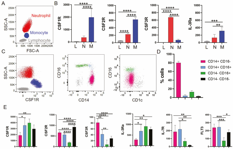 CSF1R defines the mononuclear phagocyte system lineage in human blood in health and COVID-19.