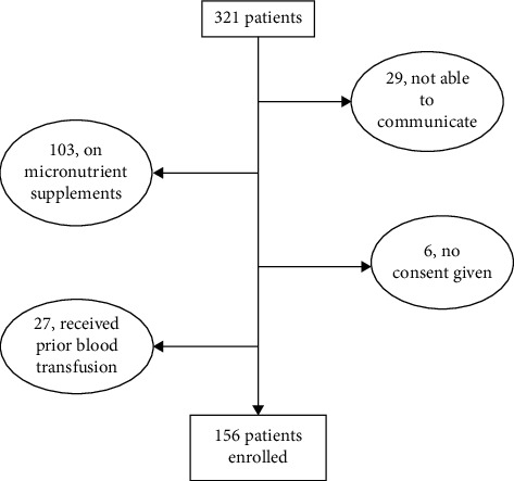 Anaemia in the Hospitalized Elderly in Tanzania: Prevalence, Severity, and Micronutrient Deficiency Status.