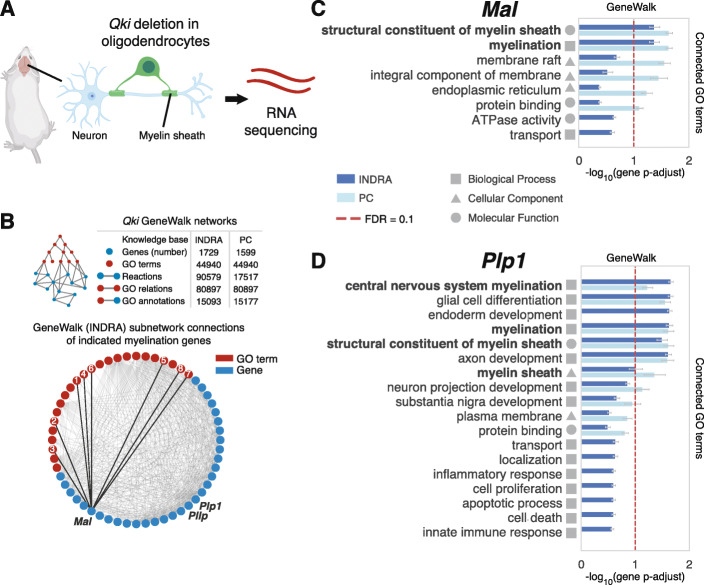 GeneWalk identifies relevant gene functions for a biological context using network representation learning.