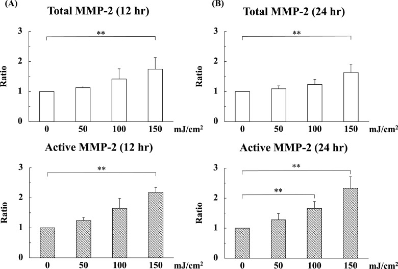 Matrix Metalloproteinase-2 Activated by Ultraviolet-B Degrades Human Ciliary Zonules <i>In Vitro</i>.