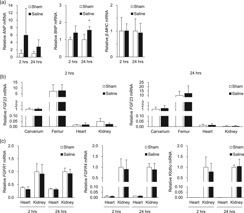 Acute cardiac overload does not induce cardiac or skeletal expression of fibroblast growth factor 23 in rats.