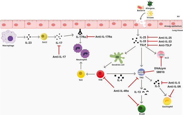 Biologics in asthma management - Are we out of breath yet?