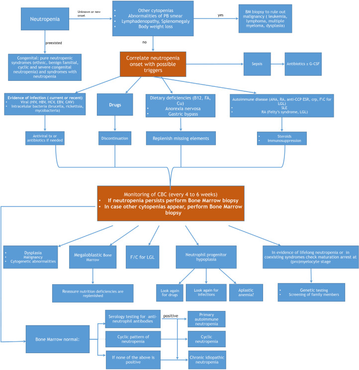 How to Make the Right Diagnosis in Neutropenia.